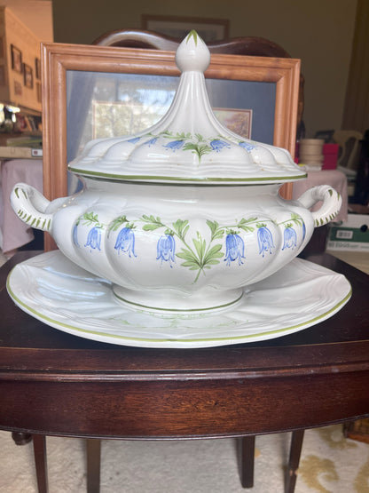 Rare Italian Hand Painted Soup Tureen Dish Set by Nora Fenton